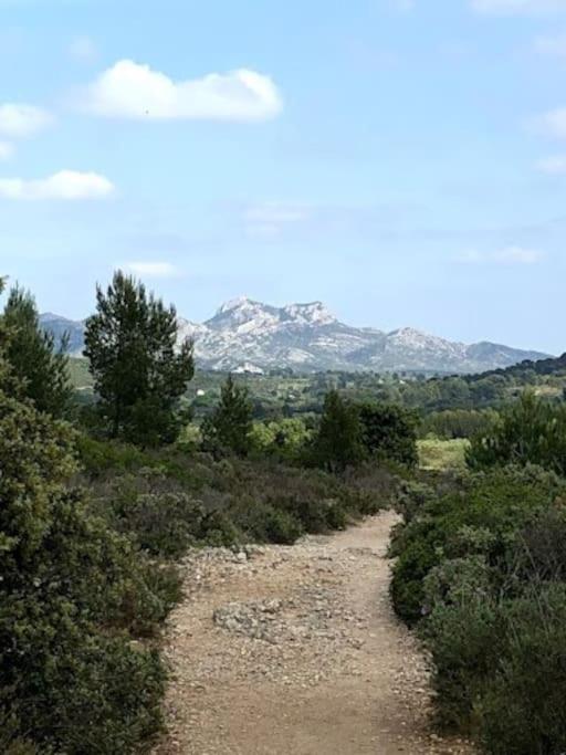 La Pitchoune : Gite Aux Pieds Des Alpilles 穆里耶 外观 照片