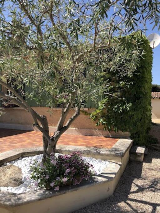 La Pitchoune : Gite Aux Pieds Des Alpilles 穆里耶 外观 照片