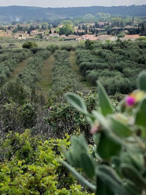 La Pitchoune : Gite Aux Pieds Des Alpilles 穆里耶 外观 照片