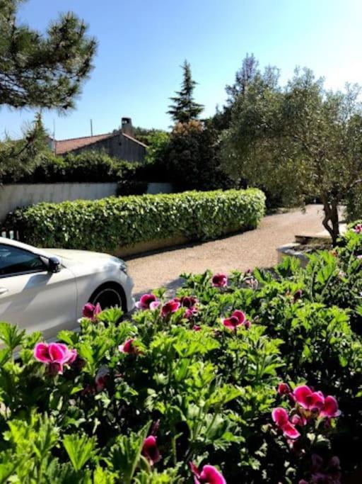 La Pitchoune : Gite Aux Pieds Des Alpilles 穆里耶 外观 照片