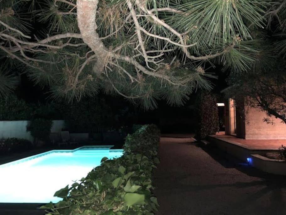 La Pitchoune : Gite Aux Pieds Des Alpilles 穆里耶 外观 照片